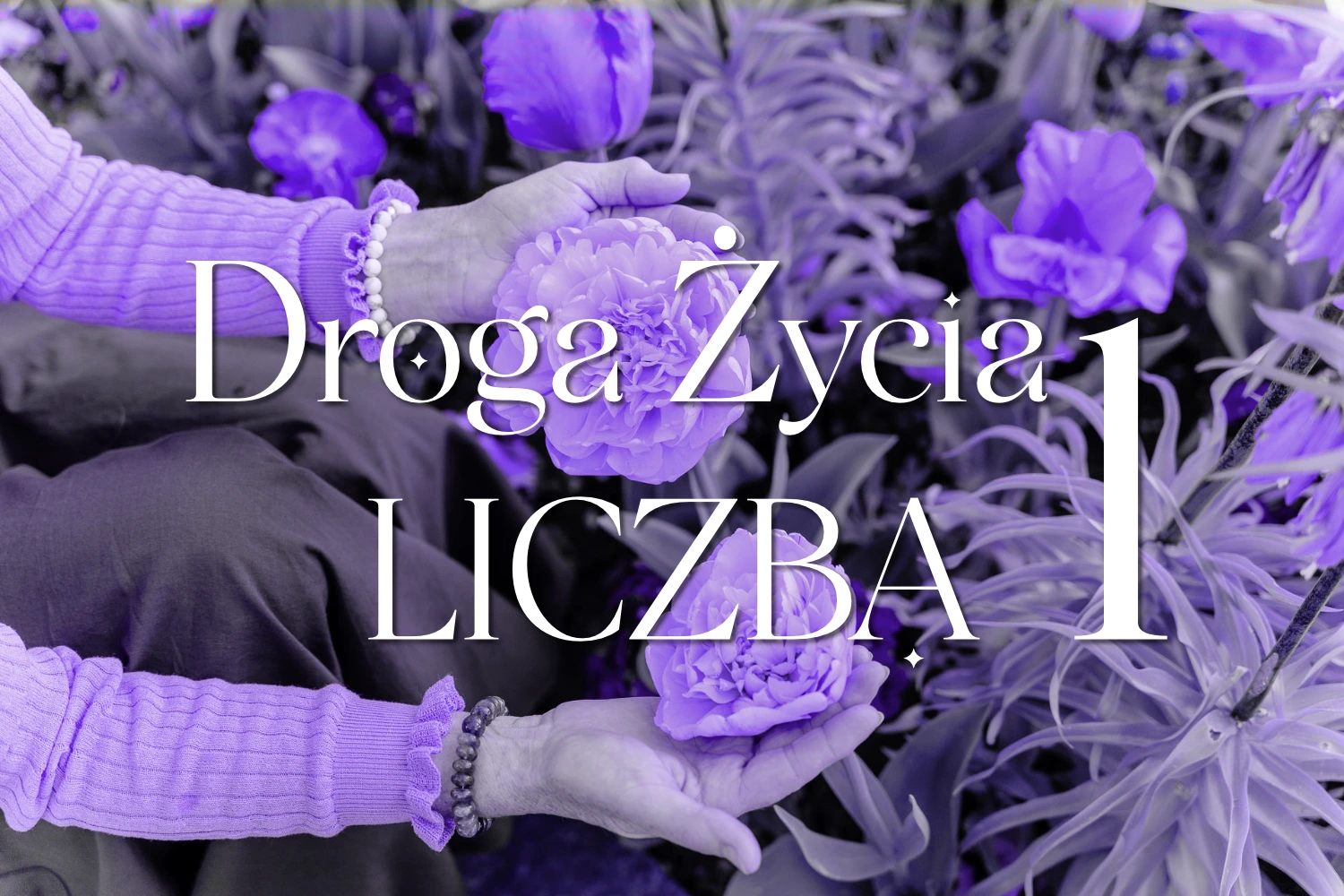 Droga Życia Liczba 1