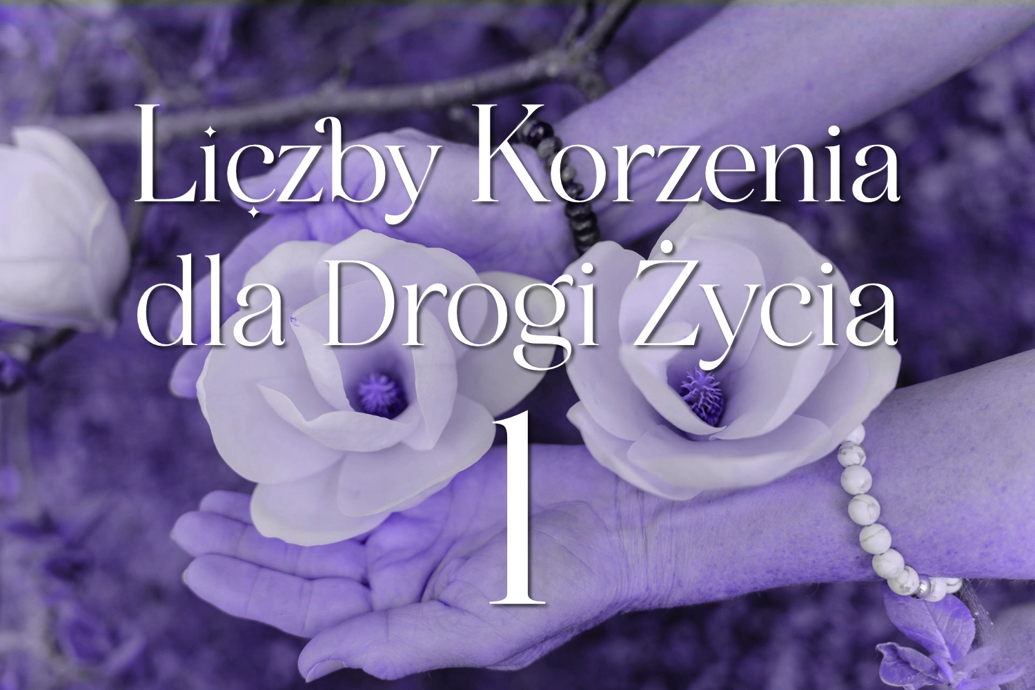 Liczby Korzenia dla Drogi Życia 1